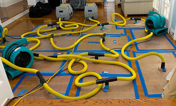 Professional Sewage Cleanup technician working in Grand Rapids, MI